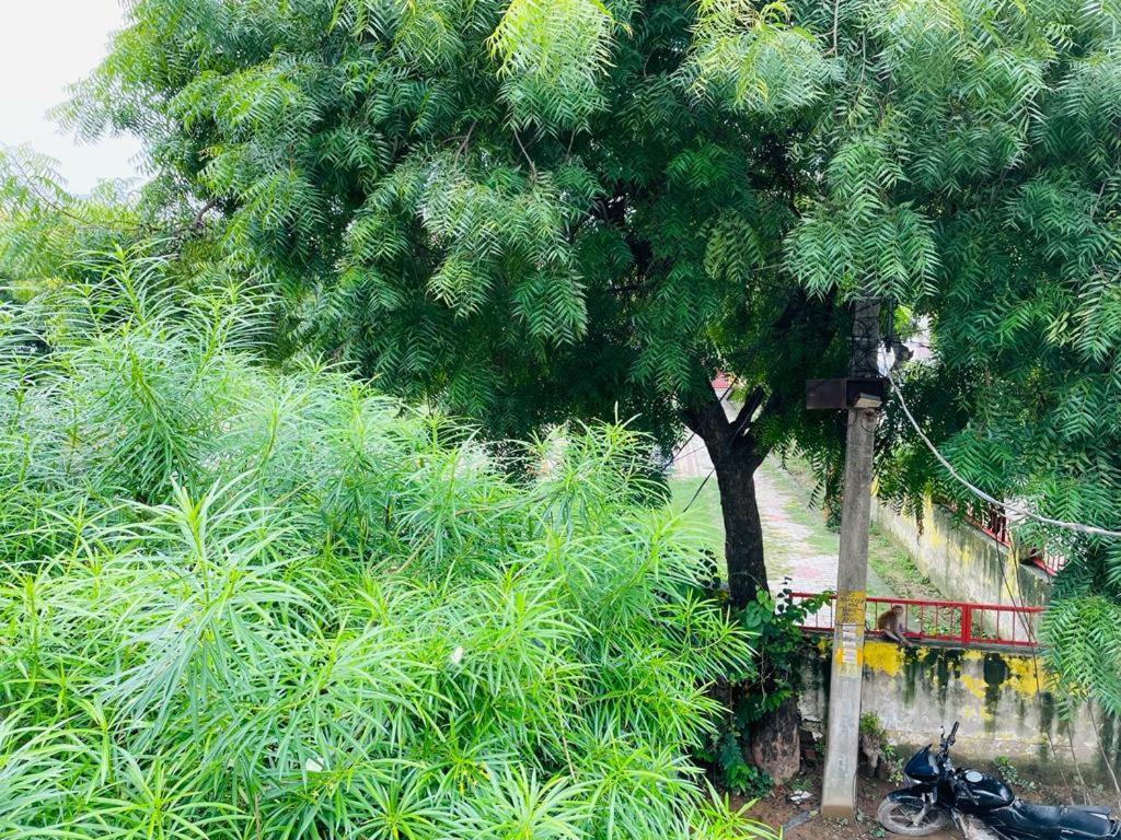 Shree Balaji Homestay Ayodhya Ngoại thất bức ảnh